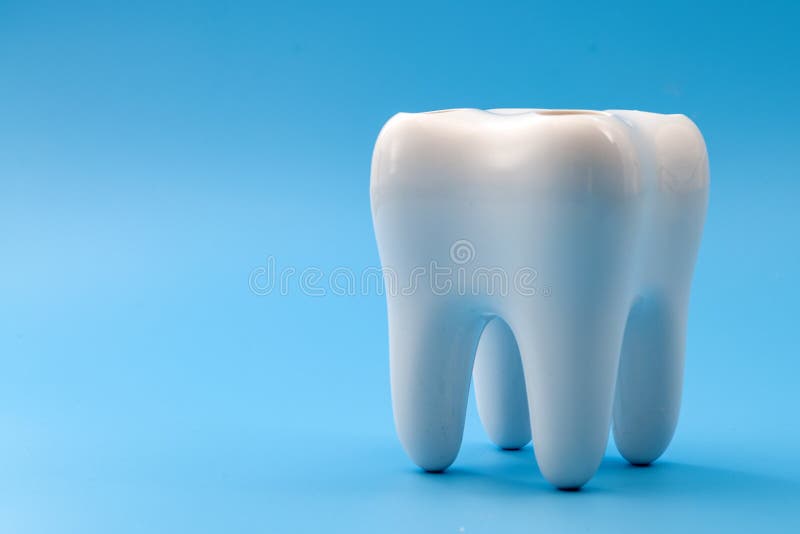 Dental hygiene, cosmetic dentistry and teeth cavity prevention concept with anatomical model of crown or corona of human tooth. Isolated on blue background with royalty free stock images