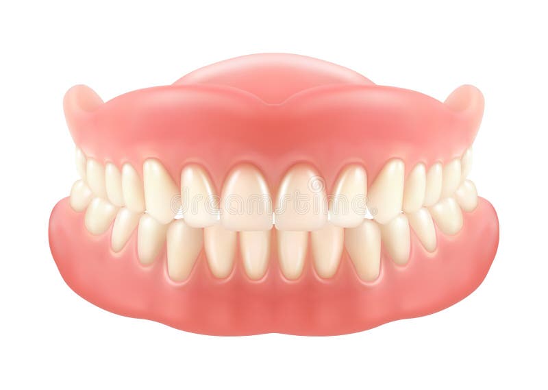 Dental jaw or dentures, false teeth with incisors. Mesh or model for dentrisity. Tooth care or oral medicine, fake smile or prosthesis with gum, implant stock illustration