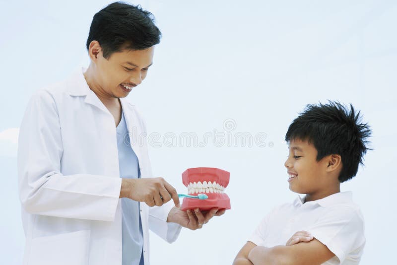 Dentist showing the correct way to brush teeth. Conceptual image.  royalty free stock photos