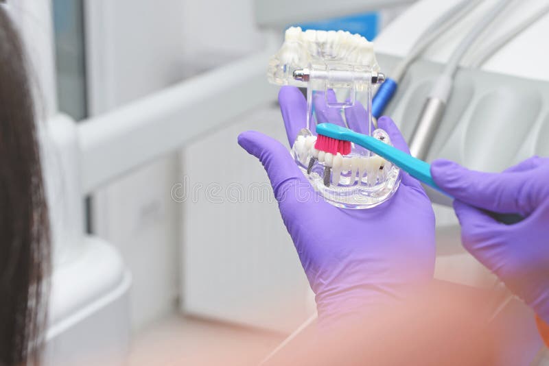 Dentist showing a patient correct way to clean teeth royalty free stock photo