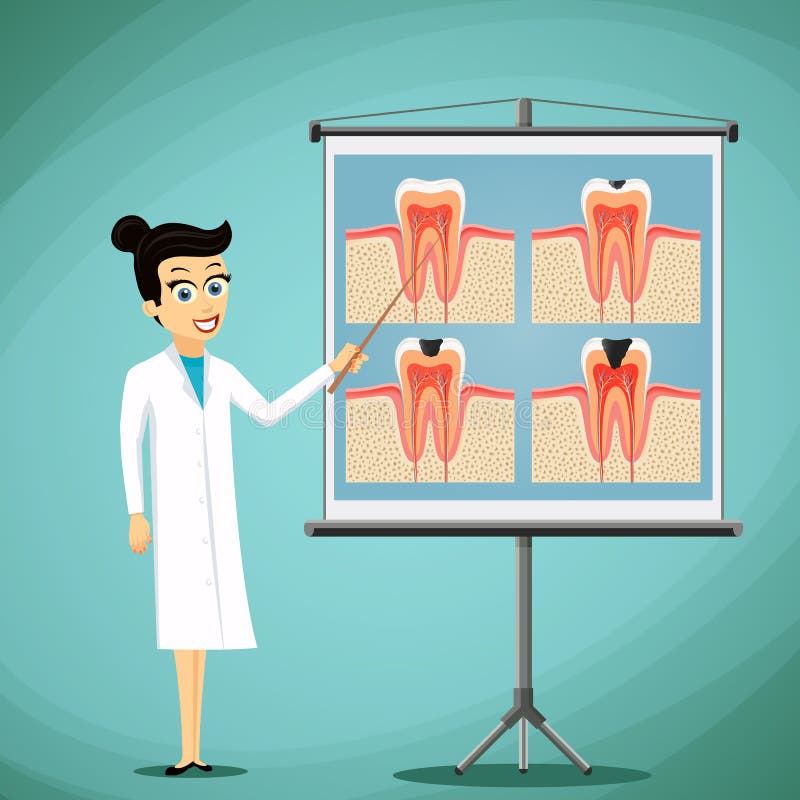 Doctor dentist shows on a blackboard diagram of the human tooth. stock illustration