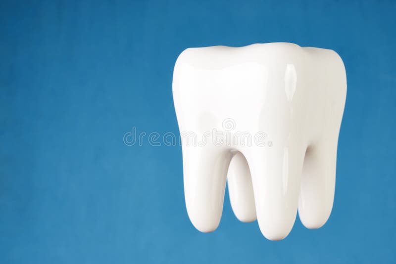 ermet ceramic tooth model on blue royalty free stock images