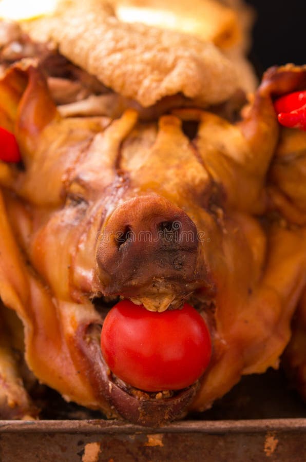 Frontal face of roasted pig, tomatoe inside mouth and teeth exposed. Interesting and delicious stock images