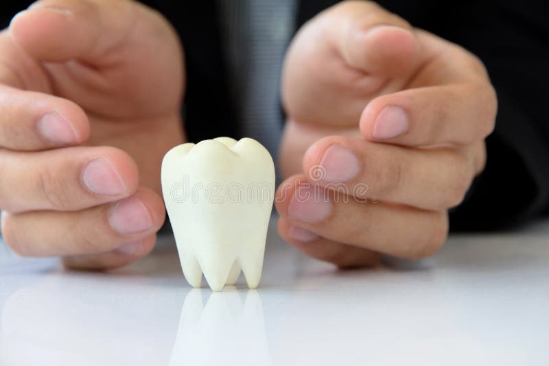 Hand holding molar. Dental concept stock images