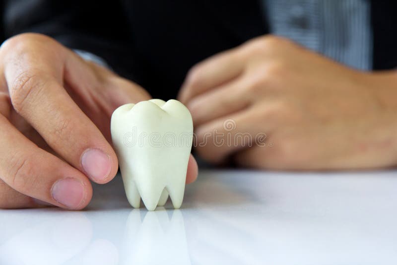 Hand holding molar. Dental concept stock image