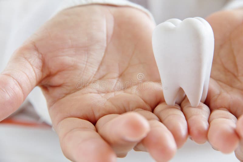 Hand holding molar. Dental concept royalty free stock photography