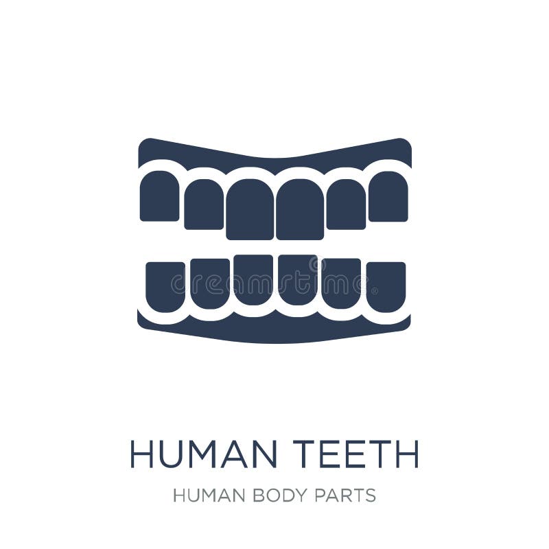 Human Teeth icon. Trendy flat vector Human Teeth icon on white b. Ackground from Human Body Parts collection, vector illustration can be use for web and mobile royalty free illustration Human Teeth icon. Trendy flat vector Human Teeth icon on white b. Ackground from Human Body Parts collection, vector illustration can be use for web and mobile royalty free illustration
