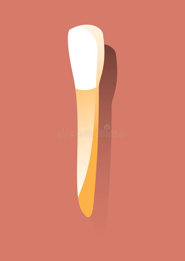 Incisors tooth. Vector illustration decorative design stock illustration