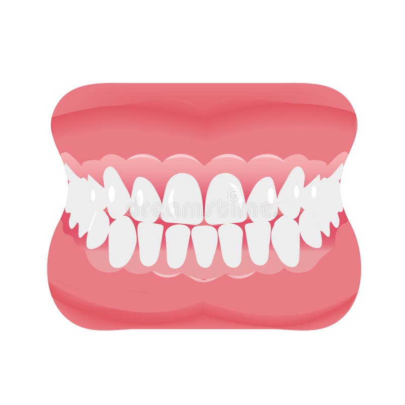 Jaw with teeth icon flat style. Open mouth, dentures. Dentistry, medicine concept. Isolated on white background. Vector vector illustration