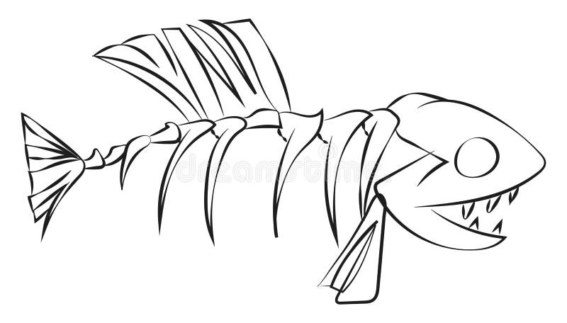 Line art of a fish skeleton vector or color illustration. Line art of a fish skeleton with mouth wide opened and spike-like teeth exposed set on isolated white royalty free illustration