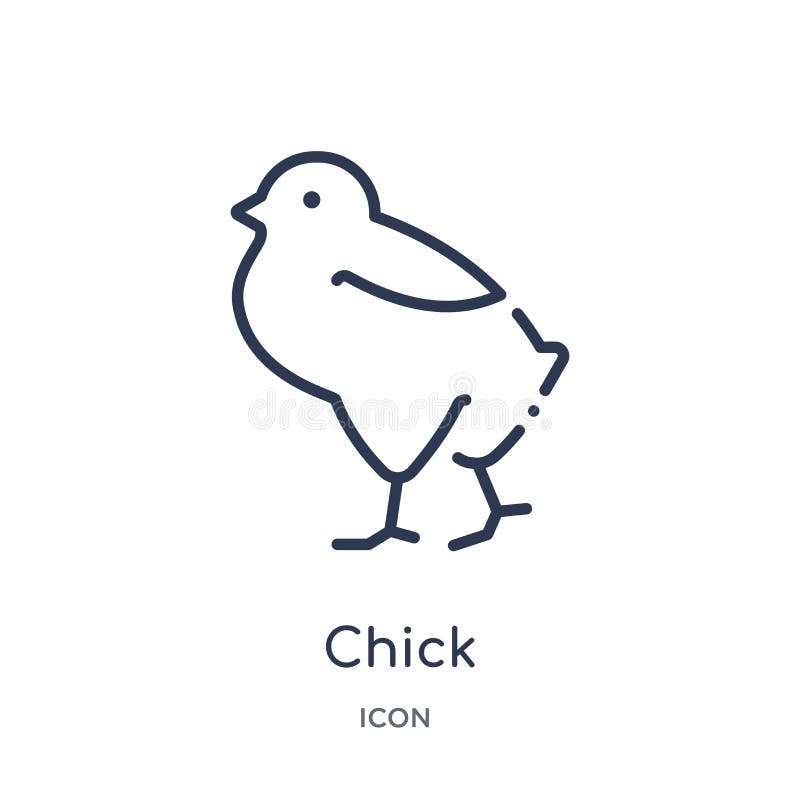 Linear chick icon from Animals and wildlife outline collection. Thin line chick vector isolated on white background. chick trendy. Illustration royalty free illustration