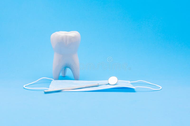Model of a human tooth molar together with a dental mirror and a protective mask on a blue background. Dentistry Concept. Model of a human tooth molar together stock photo