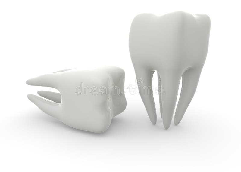Model of a molar tooth on a white isolated background. 3D illustration royalty free illustration