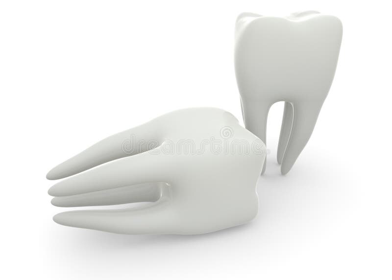 Model of a molar tooth on a white isolated background. 3D illustration royalty free illustration