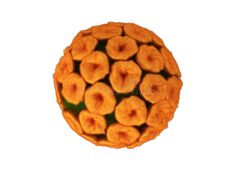 Papilloma virus. Digital illustration of papilloma virus royalty free stock image
