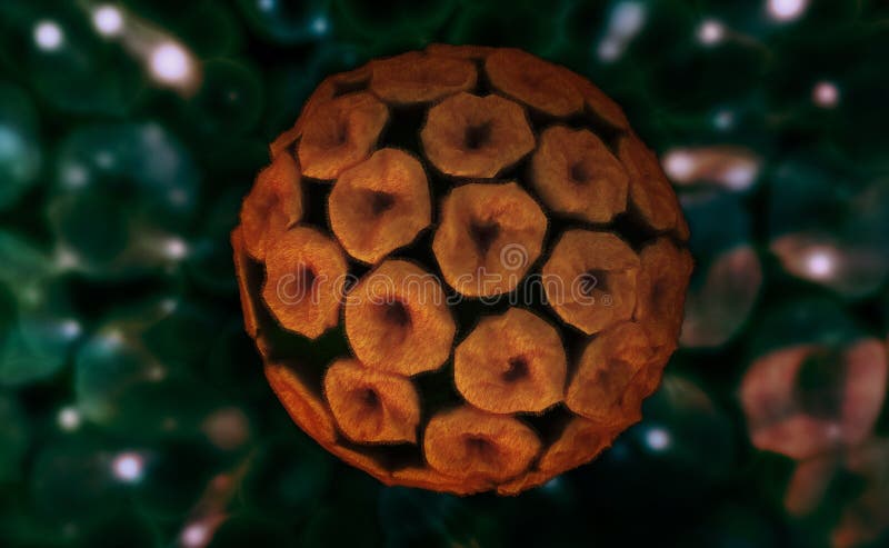 Papilloma virus. Digital illustration of papilloma virus stock photography