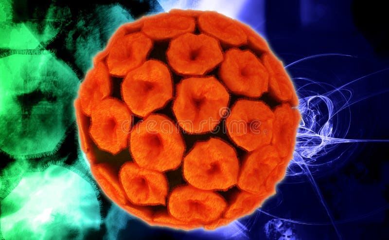 Papilloma virus. Digital illustration of papilloma virus in colour background stock photos