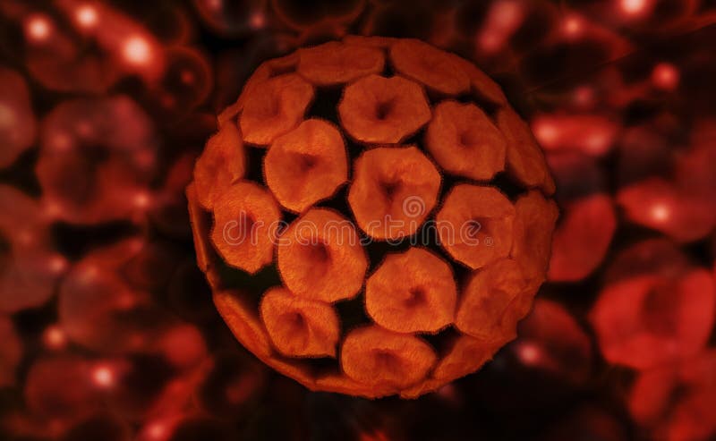 Papilloma virus. Digital illustration of papilloma virus in colour background royalty free stock photos