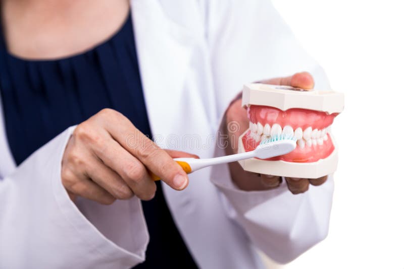 Series of dentist showing correct method of brushing teeth. Using soft slim tapered bristle toothbrush royalty free stock photo