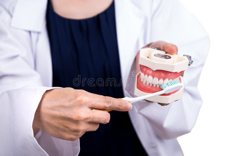Series of dentist showing correct method of brushing teeth. Using soft slim tapered bristle toothbrush stock image