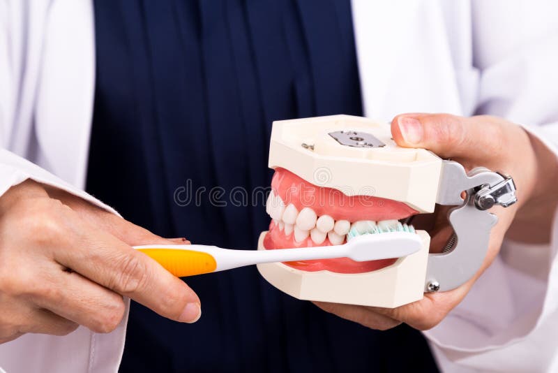 Series of dentist showing correct method of brushing teeth. Using soft slim tapered bristle toothbrush royalty free stock image