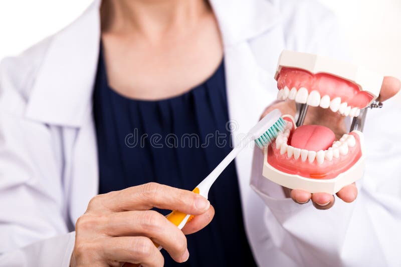 Series of dentist showing correct method of brushing teeth. Using soft slim tapered bristle toothbrush royalty free stock images