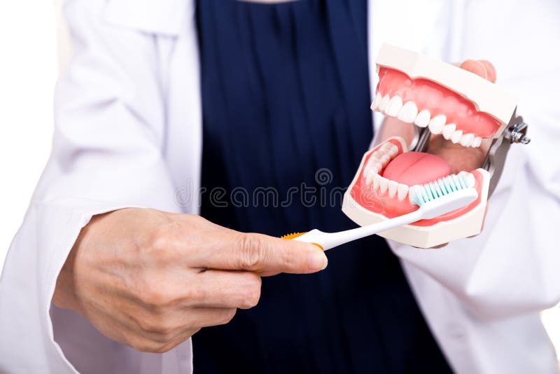 Series of dentist showing correct method of brushing teeth. Using soft slim tapered bristle toothbrush stock photo