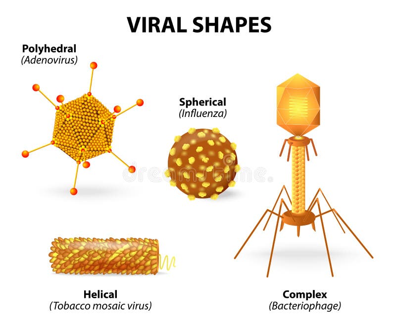 Shapes of viruses stock illustration