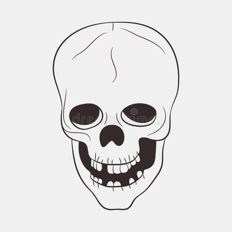 Skull human with a lower jaw and teeth. Hand drawn vector. royalty free illustration