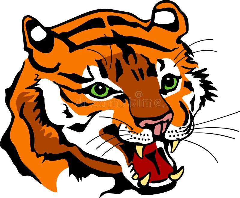 Snarling Tiger Head. Illustration of a tigers head, green eyes and snarling with the teeth exposed. EPS file available vector illustration