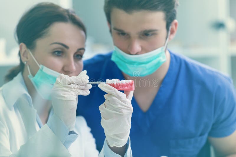 Students with dental prosthesis, dentures, prosthetics work. royalty free stock image
