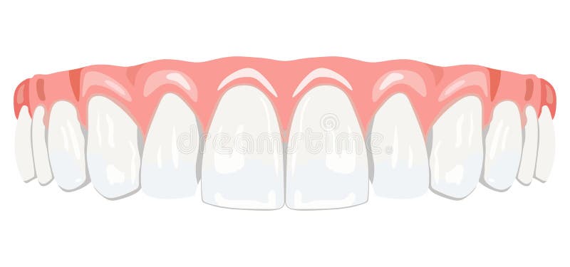 Teeth gums stock illustration
