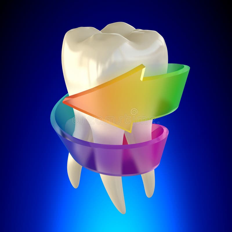 Tooth Molar Healthy isolated on blue background stock photography