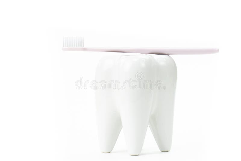 Toothbrush stand shaped like primary molar tooth with toothbrush. Oral hygiene concept royalty free stock photography