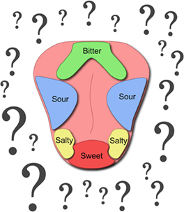 Figure 2 - Taste signals.