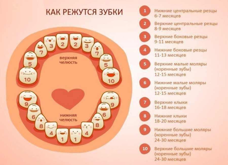Коренные зубы растут вторым рядом что делать
