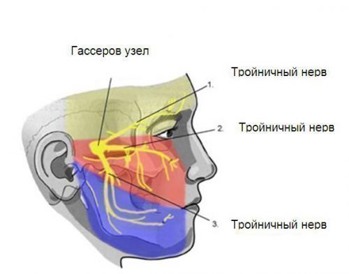 Тройничный нерв вызывает боль