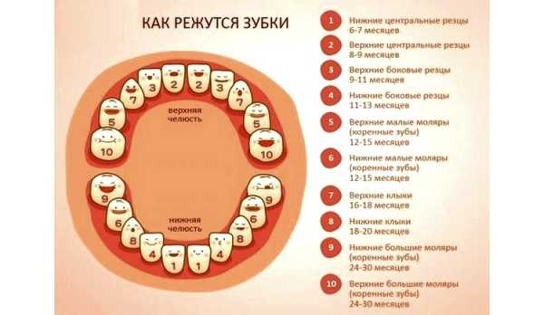 Выпадают зубы у детей схема